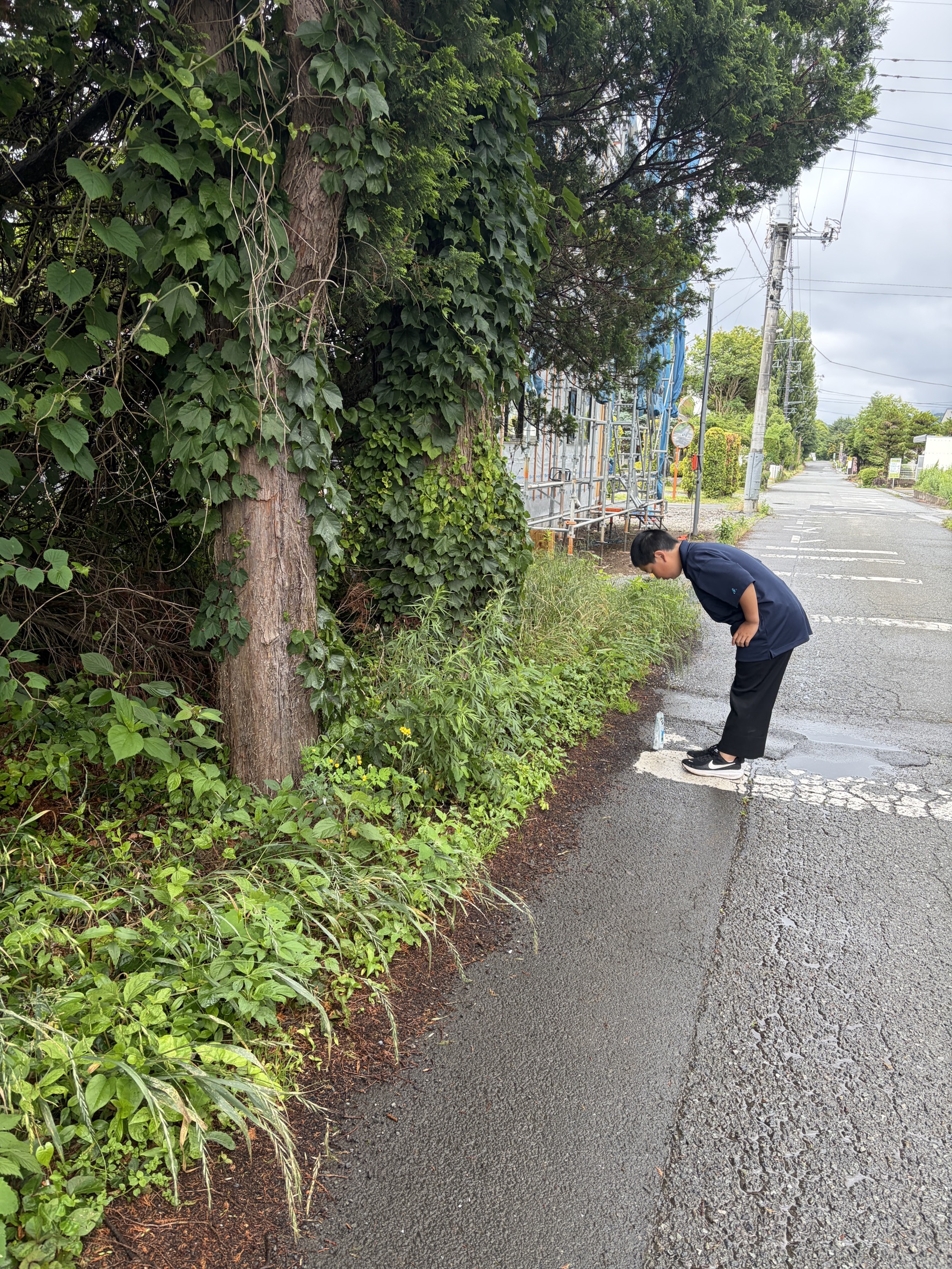 畑を始めます☺